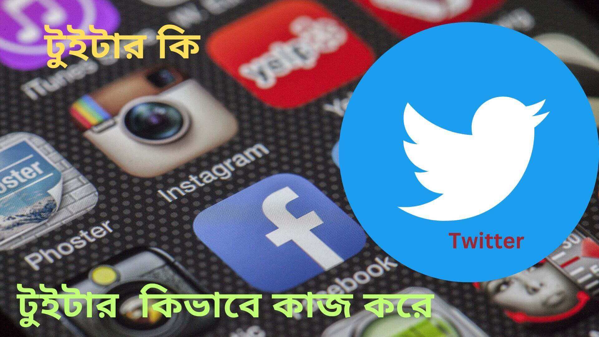 টুইটার কি , টুইটার কি এবং এটি কিভাবে কাজ করে , কিভাবে টুইটার ব্যবহার করতে হয় , টুইটার এর কাজ কি , টুইটারের প্রতিষ্ঠাতা কে